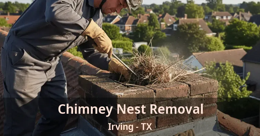 Chimney Nest Removal Irving - TX