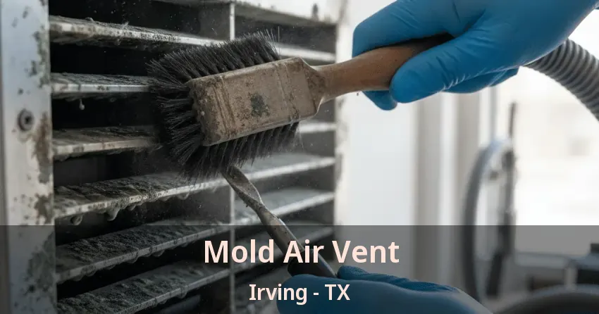 Mold Air Vent Irving - TX