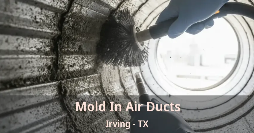 Mold In Air Ducts Irving - TX