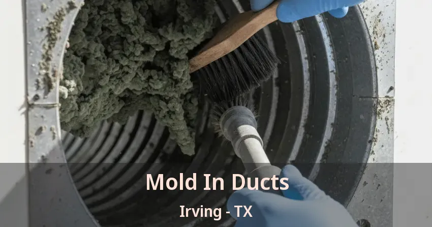 Mold In Ducts Irving - TX
