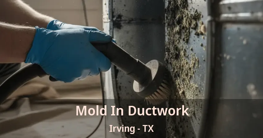 Mold In Ductwork Irving - TX