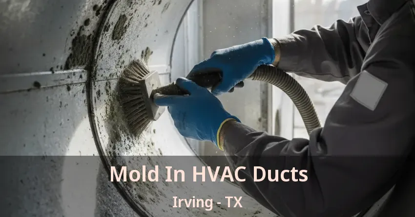Mold In HVAC Ducts Irving - TX